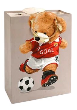 Пакет подарунковий "Круте ведмежа", 18х24х8.5 см (в асортименті)